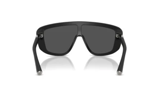 Vue arrière Dolce & Gabbana DG4520 (25256G)