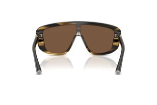 Vue arrière Dolce & Gabbana DG4520 (306373)