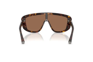 Vue arrière Dolce & Gabbana DG4520 (502/73)