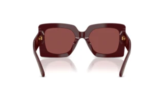 Vue arrière Dolce & Gabbana DG4525B (309175)