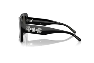 Vue latérale Dolce & Gabbana DG4525B (501/88)