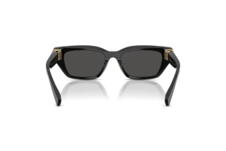 Vue arrière Dolce & Gabbana DG4532 (501/87)