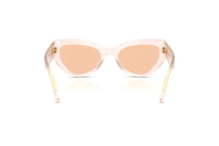 Vue arrière Dolce & Gabbana DG4536 (304173)