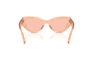 Vue arrière Dolce & Gabbana DG4536 (322684)