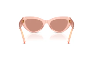 Vue arrière Dolce & Gabbana DG4536 (338496)