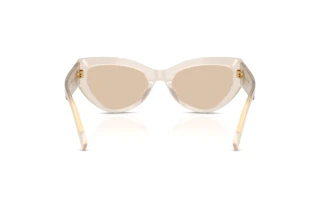 Vue arrière Dolce & Gabbana DG4536 (342093)