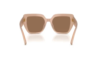 Vue arrière Dolce & Gabbana DG4538 (304273)