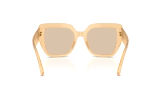Vue arrière Dolce & Gabbana DG4538 (308993)
