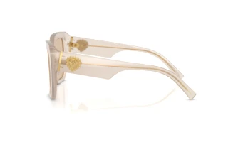 Vue latérale Dolce & Gabbana DG4538 (342093)
