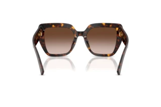 Vue arrière Dolce & Gabbana DG4538 (502/13)