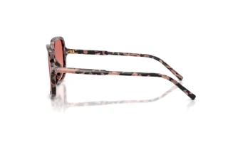 Vue latérale Dolce & Gabbana DG4539 (3476A5)