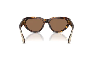 Vue arrière Dolce & Gabbana DG4558 (502/73)