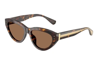 Vue de face Dolce & Gabbana DG4558 (502/73)