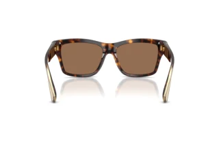 Vue arrière Dolce & Gabbana DG4559 (502/73)