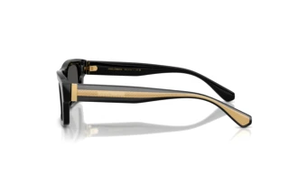 Vue latérale Dolce & Gabbana DG4560 (501/87)
