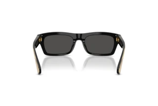 Vue arrière Dolce & Gabbana DG4560 (501/87)