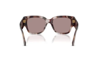 Vue arrière Dolce & Gabbana DG4563 (3498LA)