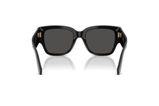Vue arrière Dolce & Gabbana DG4563 (501/87)