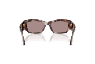 Vue arrière Dolce & Gabbana DG4564 (3498LA)