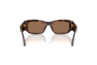 Vue arrière Dolce & Gabbana DG4564 (502/73)