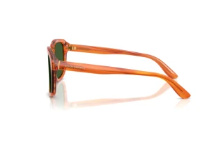 Vue latérale Dolce & Gabbana DG4566 (34839A)