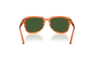 Vue arrière Dolce & Gabbana DG4566 (34839A)