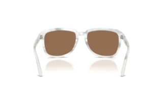Vue arrière Dolce & Gabbana DG4566 (349573)