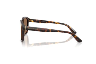 Vue latérale Dolce & Gabbana DG4566 (502/73)