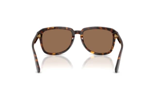 Vue arrière Dolce & Gabbana DG4566 (502/73)
