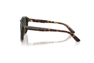 Vue latérale Dolce & Gabbana DG4566 (502/9A)