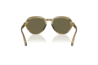Vue arrière Dolce & Gabbana DG4567 (3480/3)