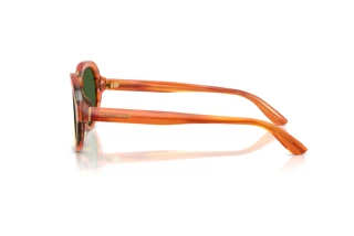 Vue latérale Dolce & Gabbana DG4567 (348371)