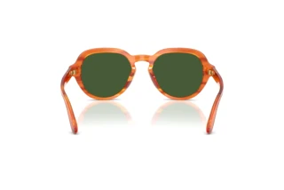 Vue arrière Dolce & Gabbana DG4567 (348371)