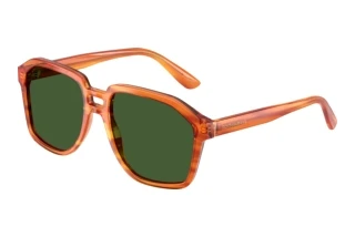 Vue de face Dolce & Gabbana DG4568 (34839A)