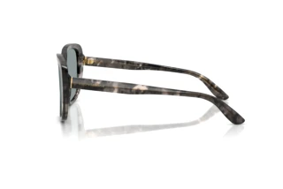 Vue latérale Dolce & Gabbana DG4569 (3172/1)