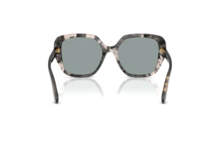 Vue arrière Dolce & Gabbana DG4569 (3172/1)