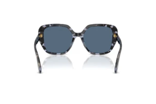 Vue arrière Dolce & Gabbana DG4569 (344380)