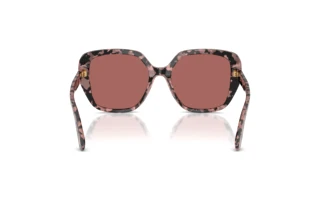 Vue arrière Dolce & Gabbana DG4569 (347669)
