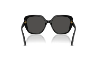Vue arrière Dolce & Gabbana DG4569 (501/87)