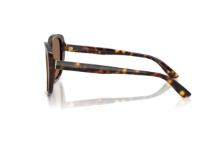 Vue latérale Dolce & Gabbana DG4569 (502/73)
