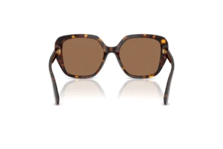 Vue arrière Dolce & Gabbana DG4569 (502/73)