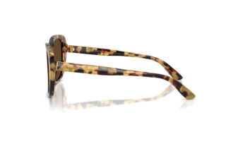 Vue latérale Dolce & Gabbana DG4569 (512/73)