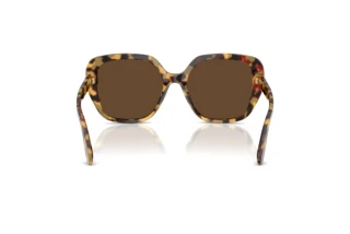 Vue arrière Dolce & Gabbana DG4569 (512/73)