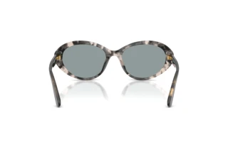 Vue arrière Dolce & Gabbana DG4570 (3172/1)