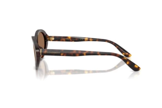Vue latérale Dolce & Gabbana DG4570 (502/73)