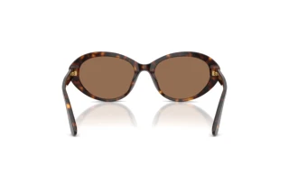 Vue arrière Dolce & Gabbana DG4570 (502/73)