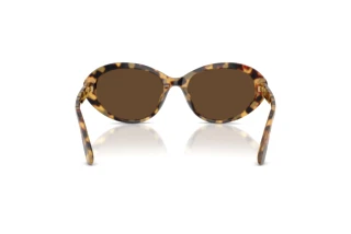 Vue arrière Dolce & Gabbana DG4570 (512/73)