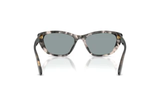 Vue arrière Dolce & Gabbana DG4571 (3172/1)