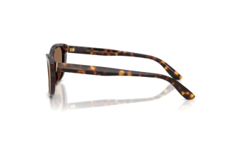 Vue latérale Dolce & Gabbana DG4571 (502/73)