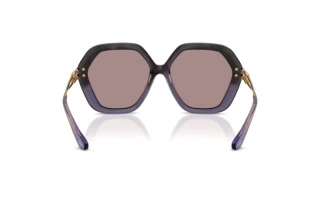 Vue arrière Dolce & Gabbana DG6210 (3494LA)